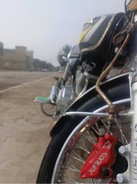 تايكر 23 • فول معدل • اوراق كامله