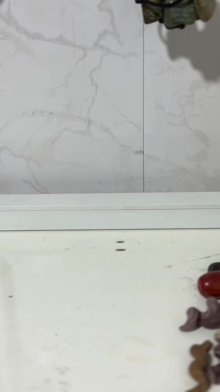 سليمانية فول لبيع سعر عل خاص


**إذا كنت صاحب هذا الإعلان وتريد حذفه لأي سبب، رجاءا أرسل رسالة إلى الدعم الفني**