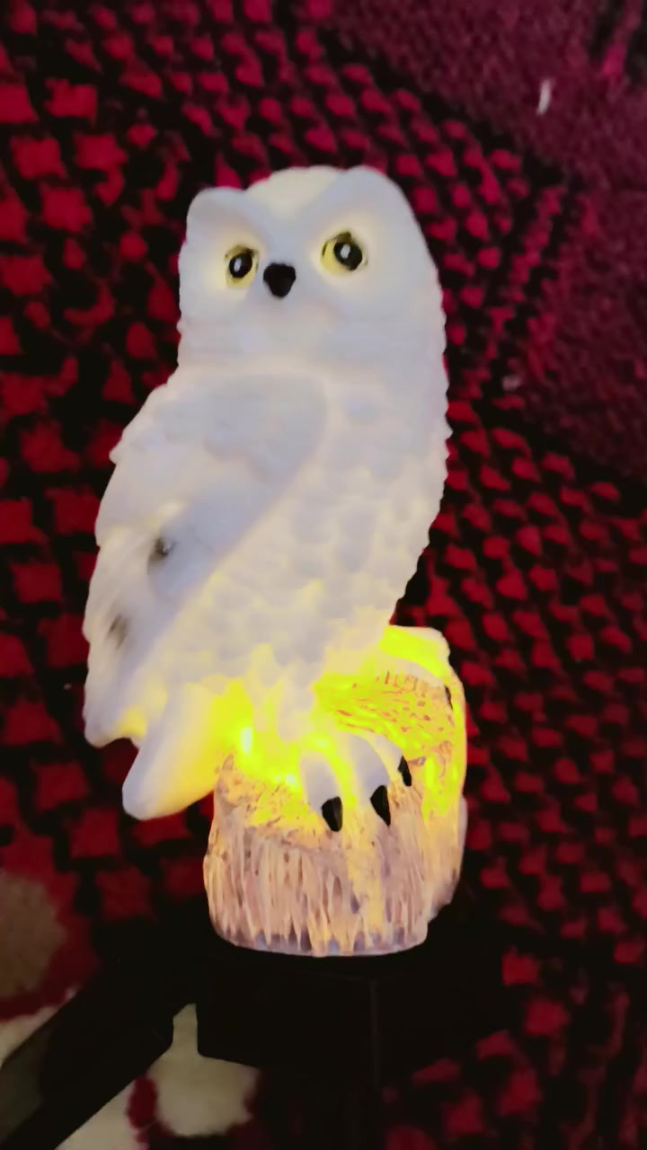 ان هذا لرزقنا ما له من نفاد 🤲


**إذا كنت صاحب هذا الإعلان وتريد حذفه لأي سبب، رجاءا أرسل رسالة إلى الدعم الفني**