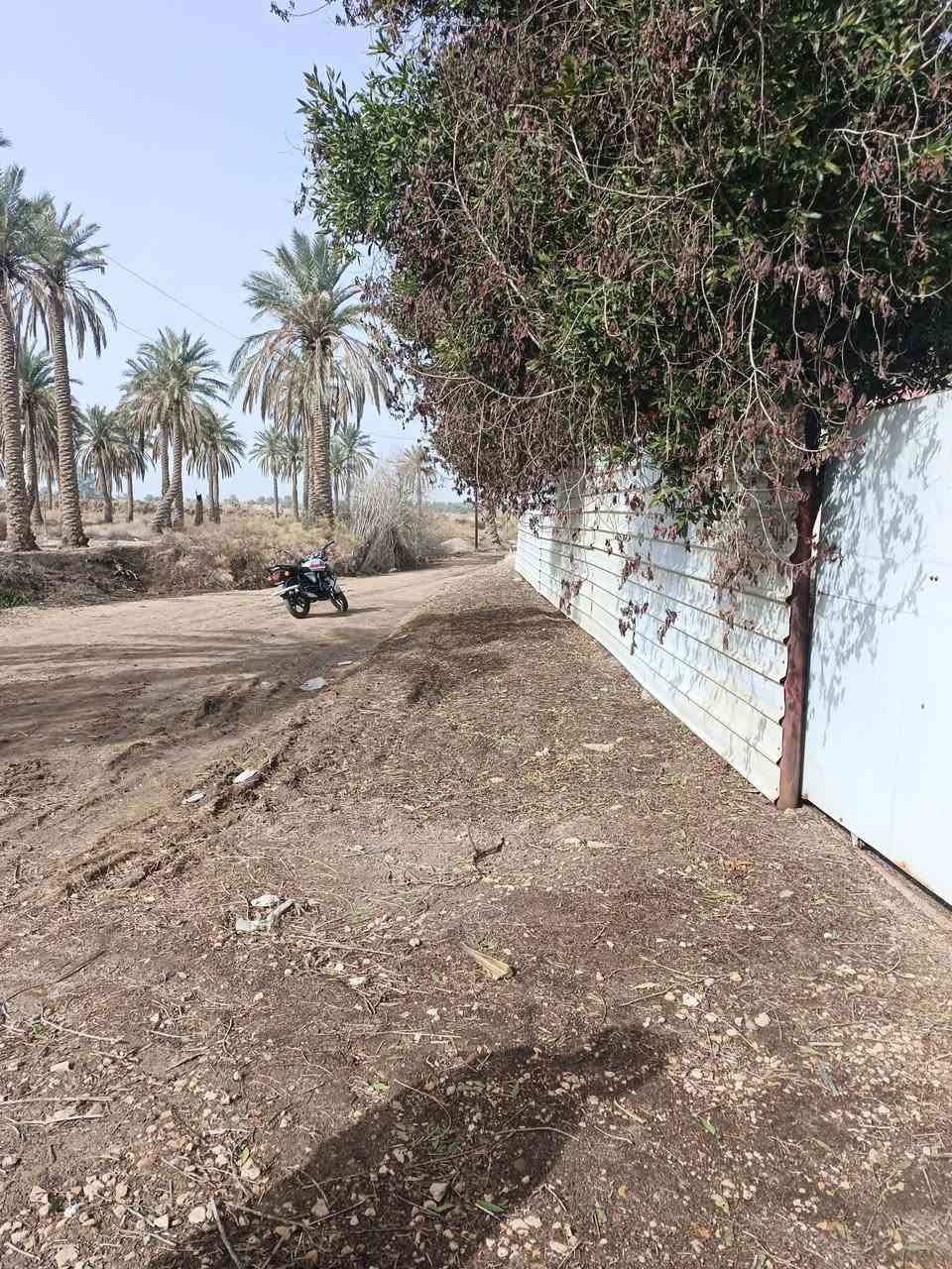 سلام عليكم  بيت في بابل ناحيه الدبله منطقه هوي الشام مساحته دونم
للستفسار ***********
