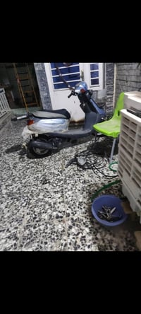 منغولي • مفتوحه • اصلي