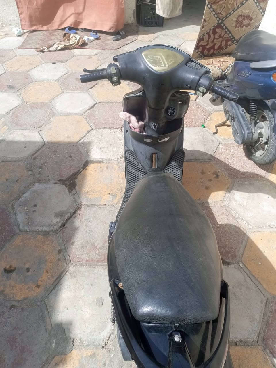 سلام عليكم ماكس عدله للبيع بوشه بلاد 49 سلف هندر كهربائيات كله شغاله مكاني بصره قبله  650 شلعه ومشي تاكل الكاع صلاوات على محمد وال محمد


**إذا كنت صاحب هذا الإعلان وتريد حذفه لأي سبب، رجاءا أرسل رسالة إلى الدعم الفني**