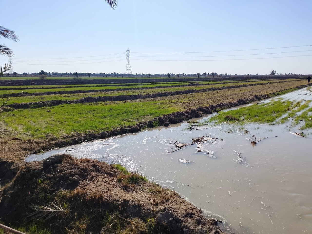 السلام عليكم
ارض زراعيه للبيع مساحتها 17دونم 

جنس الأرض اصلاح زراعي سند 35 

تتوفر خدمات ماء اساله وكهرباء ومياه سقي 

موقع ورديه خارج 

تبعد عن شارع العام 700 متر 

تحتوي على بستان نخيل يتكون من 400 نخله 

وبيوت عدد 2 بناء قديم 

سعر دونم 15 وبيه مجال ***********
