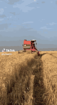 حاصده للبيع رقم نينوى جديد المانب موديل 90، حاصده جديده للتواصل رقم الهاتف ***********
