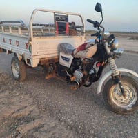 ستوتة • ستوتة 2014 • ستوتة للبيع • ستوتة معمرة • دراجة حمل • دراجة ثلا...