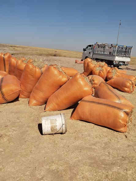 السلام عليكم  يوجد  تبن للبيع  شلفان ارتفاع120 وعرض 80 وشرط تبن ناعم  مال  گراضه  وتبن نضيف  مال حنطه مو شعير  سعر الشليف الواحد واصل5000 الف  للبيت   الاستفسار على الرقم  ***********

#ملاحضه 👈🏻 (لانتعامل بالدين  نقد فقط؟)
