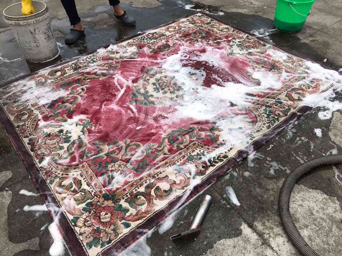 خلص الموسم الشتوي واكيد راح تغسلون الزوالي وتضموها 
غسل اي قياس بـ ٥٠٠٠ فقط زاهي وقاصر الوان ومعطر جلف ايد للحجز خاص او كلمة تم 
نجي ناخذها من باب بيتكم يوجد توصيل ٣ لجميع المناطق داخل الزعفرانيه


**إذا كنت صاحب هذا الإعلان وتريد حذفه لأي سبب، رجاءا أرسل رسالة إلى الدعم الفني**