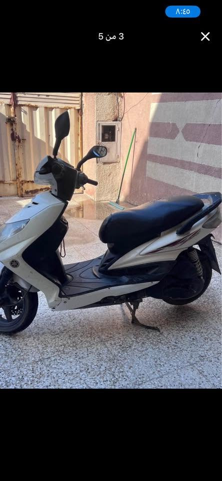سكنس فحل للبيع نگره سلف 
السعر 700 
بغداد الجديده المشتل
***********
