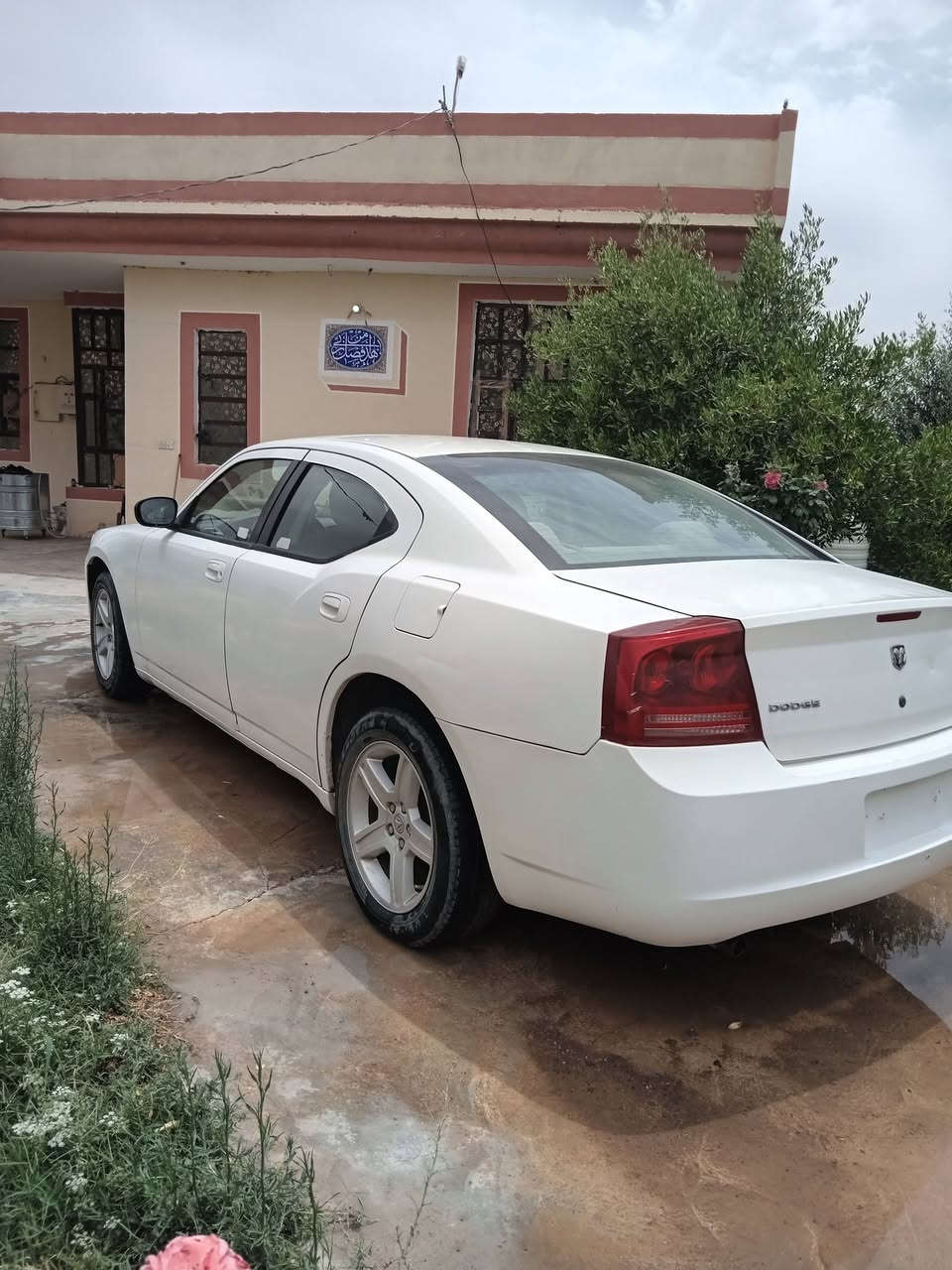 سلام عليكم جارجر 2010 كفاله عامه فقط صبغ جماليه محرك 6 سلندر 3600 مزاد وزارة الداخلية سياره نضيفه وما ماشيه 36 الف 
المكان ديالى دلي عباس
السعر : 95 ورقه
للاستفسار اكثر  :  ***********
