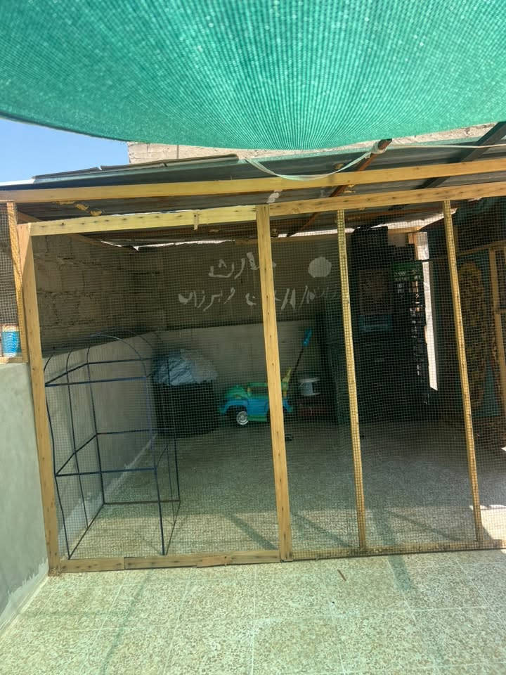 السلام عليكم قفص للبيع يصير للدجاج وللطيور مع الچينكو القفص ماصارلي شي من شديتو يعني بعدو جديد والجادر هم للبيع الشراي يجي خاص او ***********ويدلل
