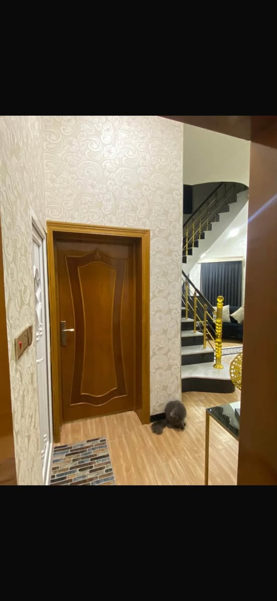السلام عليكم
متوفر بيت في كربلاء المقدسة
الهندية قرب شارع الضغط 
قريب ع شارع 
منطقة جميع الخدمات بيهه 
البيت متكون  من طابقين من 
3 غرف نوم
واستقبال 
وصالة
مطبخ حار وبارد 
وحمام خارجي 
وحمام داخلي 
وحمام في الطابق الثاني 
وسطح في الطابق الثاني 
طرمة خارجية

المساحة 120 
بناء حديث

نوع العقار طابو زراعي قرار قاضي سند 25
الاتصال 
رقم الهاتف***********

مع جميع الأثاث 
السعر 190 والسعر قابل لتفاوض
