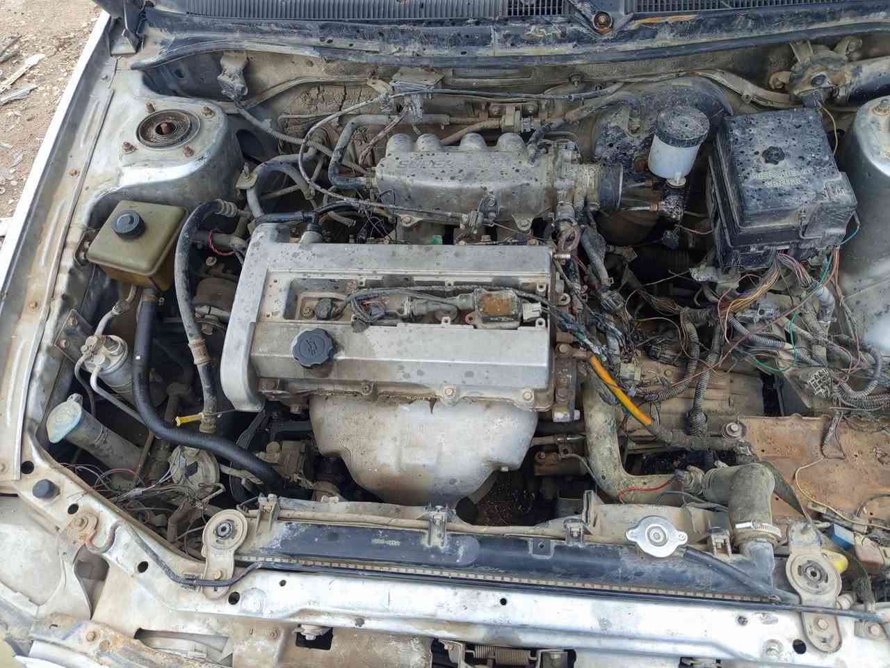 تفصيخ
طريق حله بغداد قرب طريق ابو الجاسم 
***********
