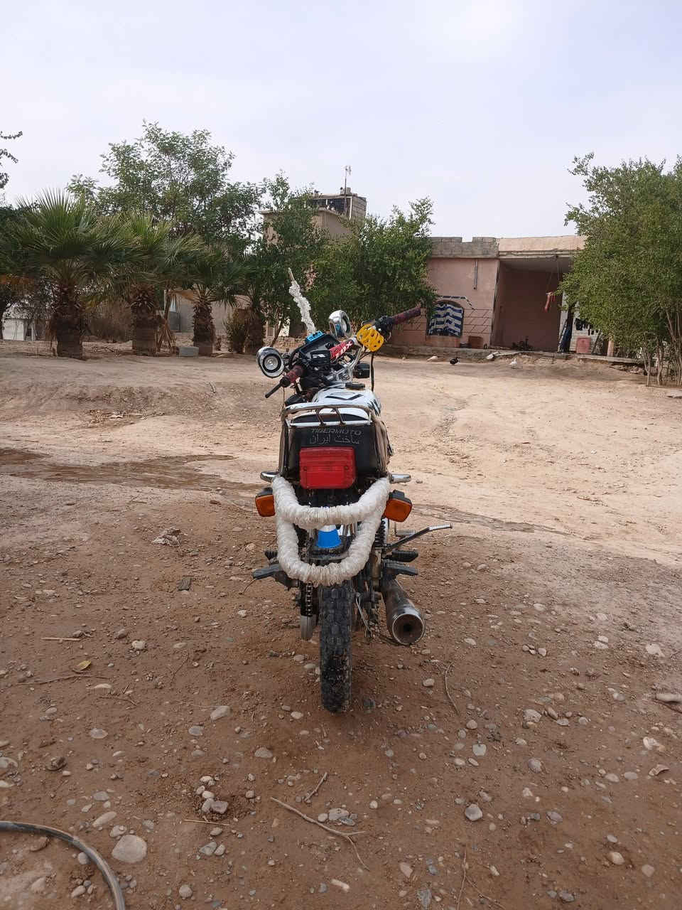 السلام عليكم عندي هاذه سيفان للبيع موديل 20 محرك مفتوح مبدل والفات بس شرط وياله شرط عدله شاصي شرط عدل كهربائيّات كامله نشاط فول نضافه فول جديد بمعنى الكلمه المكان صلاح الدين بيجي الحجاج ملاحظة صالنصه جعره وهاذه رقمي بس واتساب *********** تجي تفحص وتأخذ كامل والسعر خاص
