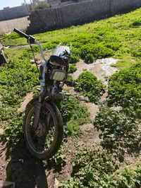 ماطور • ١٥٠ سي سي • قريه العوسجه كياره