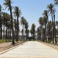 حي دجلة • سند ٢٥ • قطع أراضي