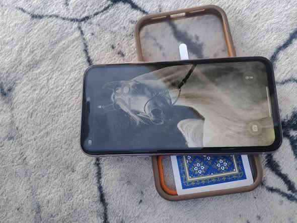 سلام عليكم ايفون 11 عادي شاشه مبدل اصله 3 طوب ذاكره 128 بطارية بلادي 77 جهاز اي عيب مابي فقط مبدل شاشه اصليه شراي اتصل السعر 230 شراي اتصل ***********
