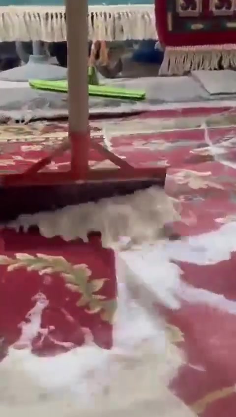 مكوئ الاصدقاء
يوفر غسل زوالي وبطانيات 
وغسل التخم القنفات 
العنوان كربلاء حي العباس الفرع الثالث 
يوجد خدمت توصيل 
لااتصال***********
