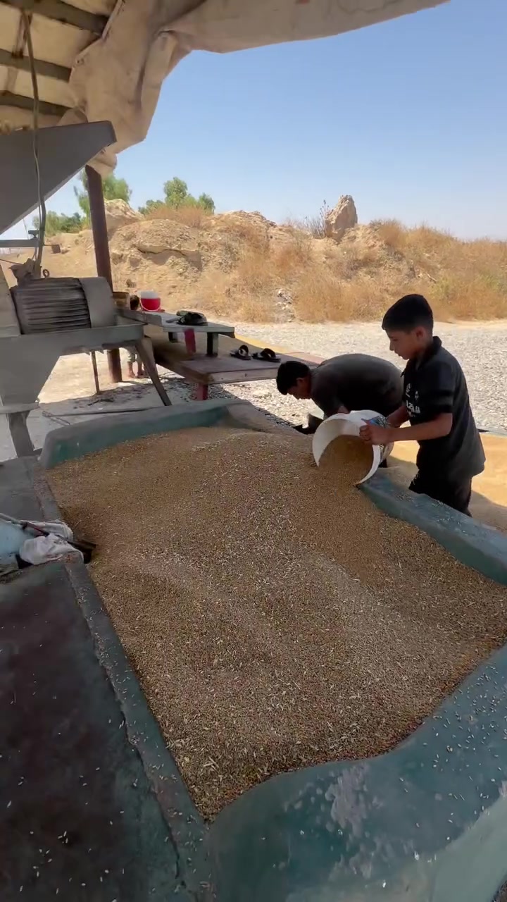 السلام عليكم.
يوجد لدينا طحين علف للبيع سعر الطن ٣٥٠ اقل كمية طن الحنطة المطحونة درجة اولى. رقم للتواصل (***********٠)(***********٧)العنوان موصل مفرق حمام العليل قرية سيد حامد
