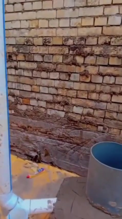 أخوكم ابو ادم لعمل وترميم الحمامات باعمال السباكه الحديثه
وتأسيس الصحيات عامه ماء +مجاري (ت)من الرفت او الاساس لغايه تسليم البيت للاستفسار [***********اسيا/***********كورك)
