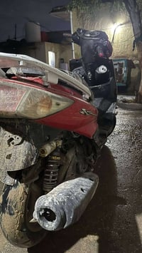 سكنس فحل • شلعه معدل • مراوس