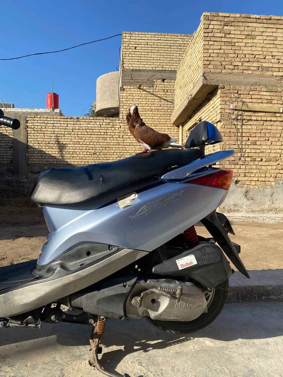 السلام عليكم
بريز لايت جوه دراجه جديده وكلهة ختم واحد 
ع بلاد دراجه خير من الله مال بيت ومامتعوبه 
دراجه جاهزة تجيب فيتر وتجي تفحص رايدهة
بـ900 مكاني بغداد الكرخ الشعلة وهاذ رقمي للتواصل 
***********وخادم🌿.
