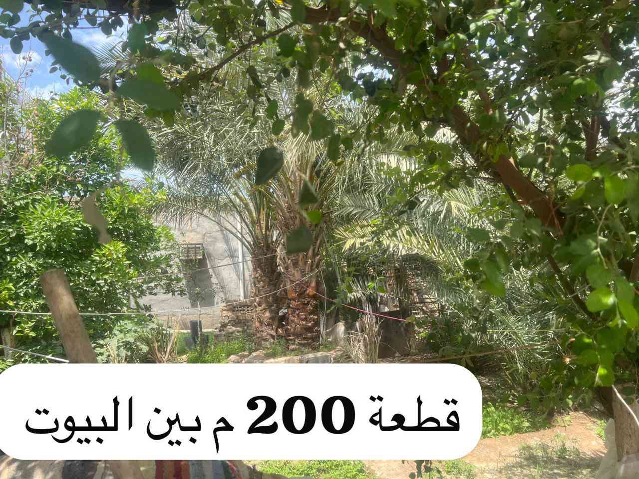 🏠 بيوت للبيع في قرية ال كاظم
بيوت الحاج فليح فهد واولادة 

تقع على الشارع العام الرئيسي

🔹 البيوت معروضة للبيع جميعها وليست بيتاً واحداً فقط

📞 للتواصل والاستفسار:
أبو جعفر محمد فليح
***********
