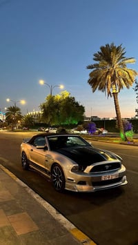 موستانغ كشف • V6 • ٩١٠٠٠ كم