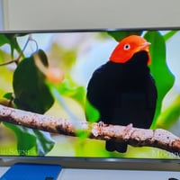 ال جي • ٤٩ بوصة • فور كي