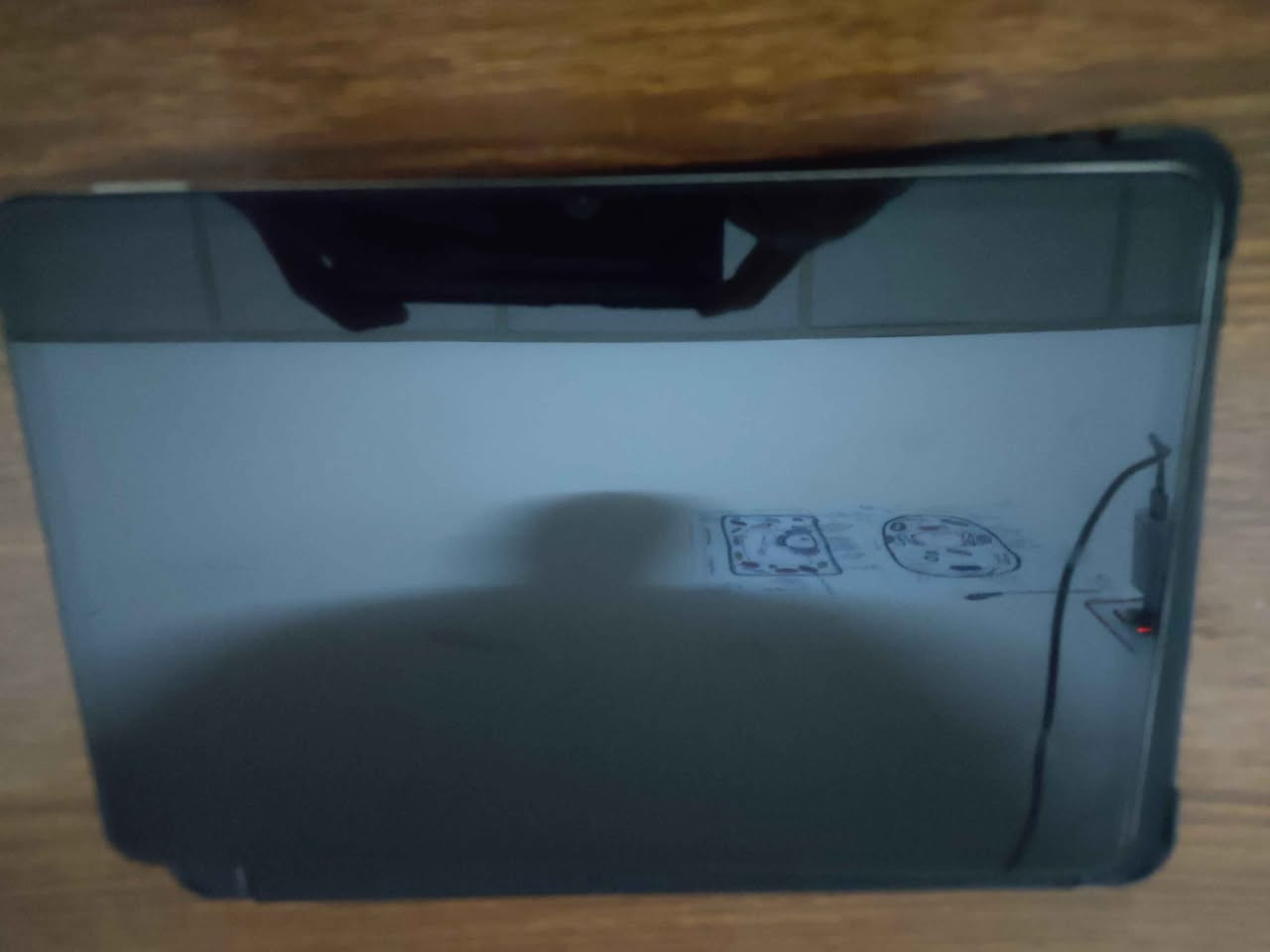 شاومي باد ٦ ذاكرة ٢٥٦ مكفول من كل شي حتى من الشخطة التاب ابد مواكع من ايدي
كامل ملحقات شاحن وكارتون وحتى جيس المواصفات 
رايدة ب٣٧٠
رقم الهاتف
*********** 
مكاني بالنجف
التاب حالة حال الجديد (بالذمة) النجف, العراق
