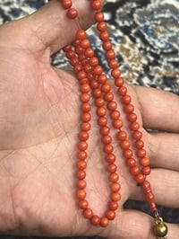 مرجان تونسي ١٠١حبه • سوار إيطالي ١٥٫٥غ • سبحة كهرب ٩٩حبه