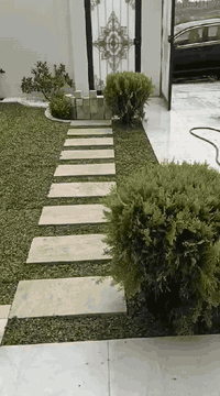 السلام عليكم
هندسة وتصميم الحديقه
زرعة وتقليم لاشجار
قص ثيل
***********
***********
من رخصت الادمن
