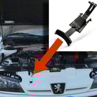 لسان بنيد • سمند • بارص