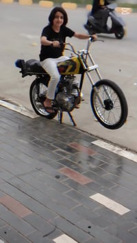 انتنس • اوراق • ٢٠٢٤