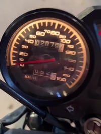 دايون • موديل 2023 • أوراق أصلية