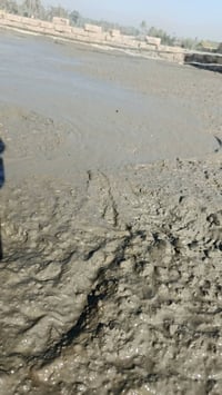 كربلاء طوريج • تفليش بيوت • صب ارضيات