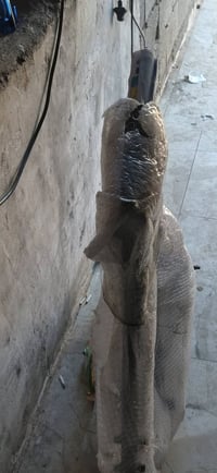 شاصي • وراق سكنر • العماره ذا