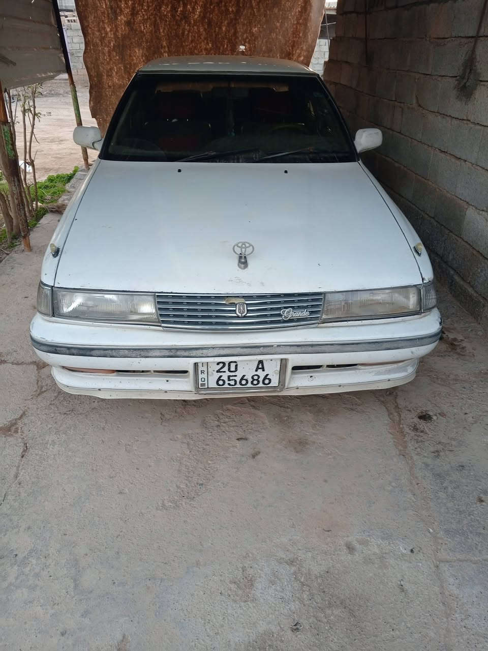 مارك شطح للبيع او مراوس مكانها ديالى المقدادية وسعر على الخاص


**إذا كنت صاحب هذا الإعلان وتريد حذفه لأي سبب، رجاءا أرسل رسالة إلى الدعم الفني**