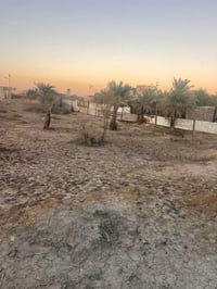 قطعة أرض • ٩٠٠م • أبي الخصيب أبو كوصره