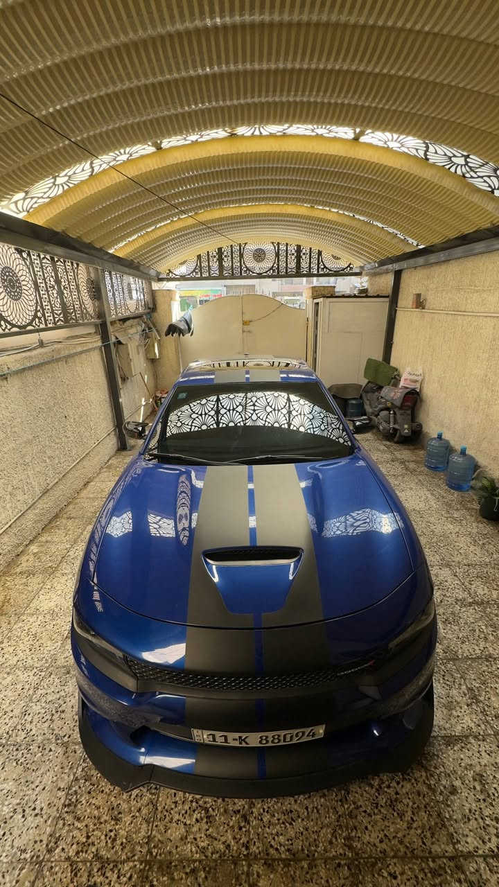 دوج جارجر GT خليجي 2019  وكالة ليث العبيدي السياره زيرو على ايدي ماشيه حاليا 67 الف كيلو كفالة عامه  وسنويه جديده مناقصهة شي السياره ادامه كامله تخم تاير جديد حداديه قبل شهر مبدلهة كاعياتهة لبلاديه بعدهم جدد  السياره جدا نظيفه ومعتني بيهة ونظافتهة كدامكم بلصور 

السعر 285 وبيهة مجال بسيط 

عنوان بغداد

اتصال او واتساب ***********
