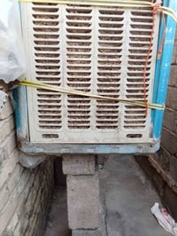مستعجلين • نضيفات • كلمن