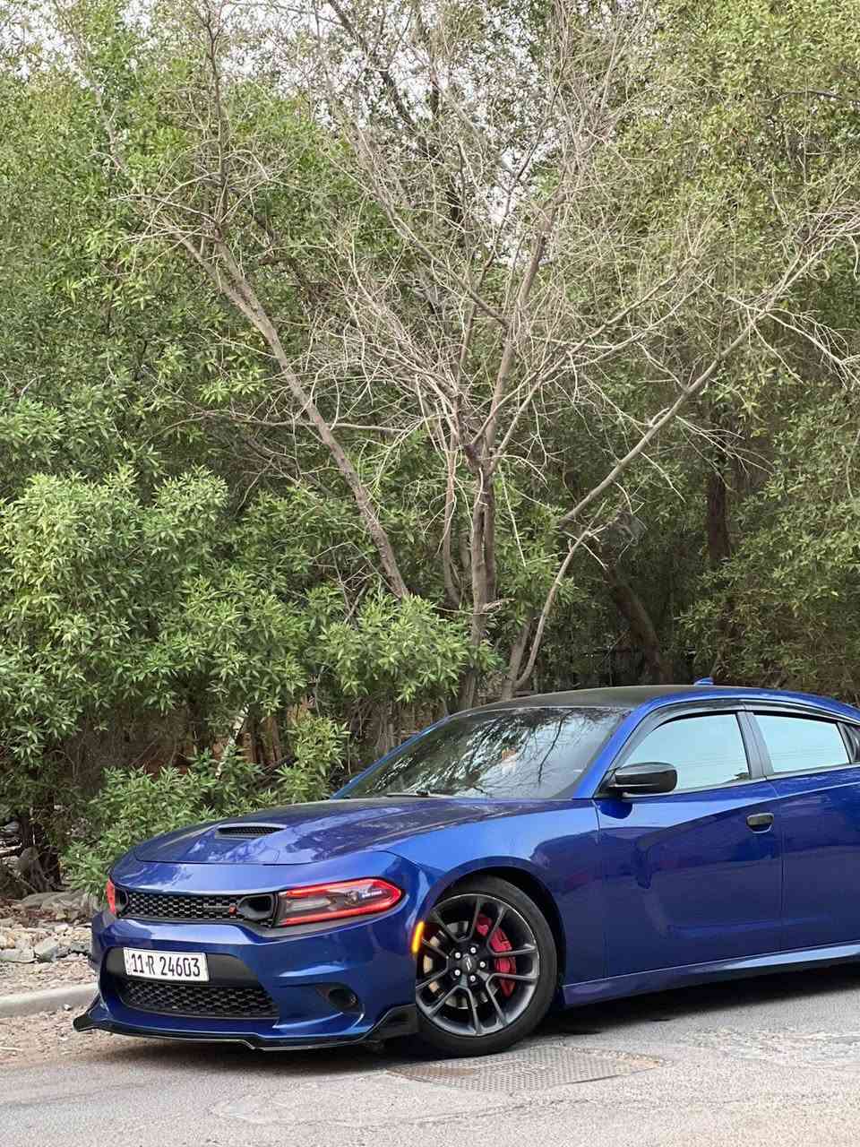 للبيع جارجر موديل 22 سياره حلوه حادثة بسيط مكينه 5700 مكان سياره بغداد رايدهه195 بيهه مجال شراي يتصل ***********
