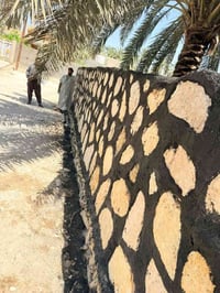 07846644381