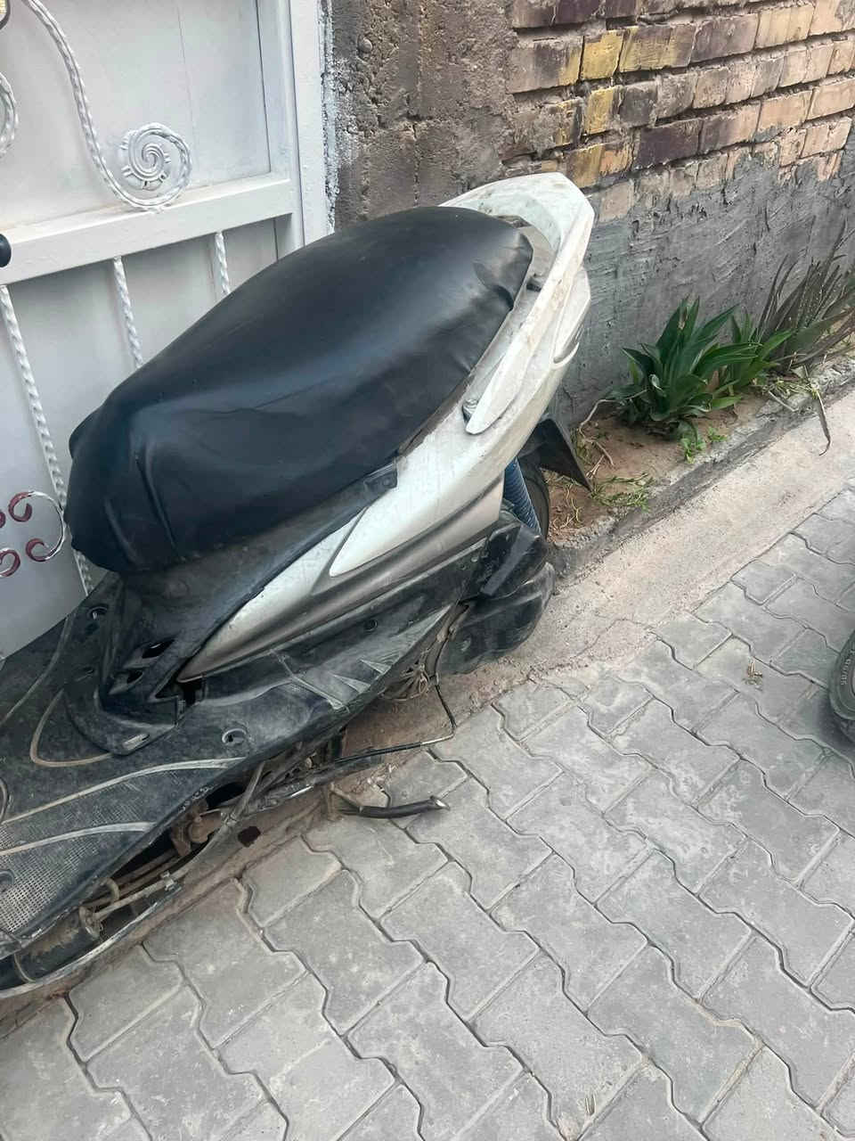 سنكز  فحل كايمة للبيع ٢٥٠ الف


**إذا كنت صاحب هذا الإعلان وتريد حذفه لأي سبب، رجاءا أرسل رسالة إلى الدعم الفني**