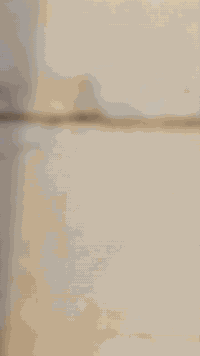 دونج دبل • تصعيد تراب • خدمة نقل