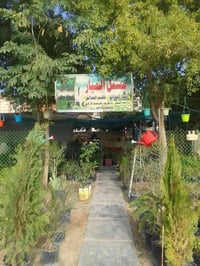 مشتل الميار • قضاء المقدادية • نباتات ظل وشمس