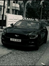 موستنك ايكو بوست • ٢٠١٥ • وارد خليجي
