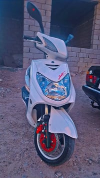 البيع سكنس فحل ١٤٠ نوزل خطين  قبق نفق دراجه مزوده ٥٨ بوشه وبستم   ٢ كل...