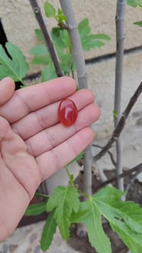 🛑 يا الله عقيق يماني طبيعي  لون كرز الكرز  🍒 طول 22 ملم  لون مشمشي 🟠🍊 ...