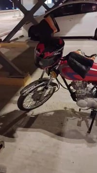 درجة ربعه كير نضيفه مثل ما واضح عدك اوراق اصولي وتجي وتكلبه بيدك وشوفه...