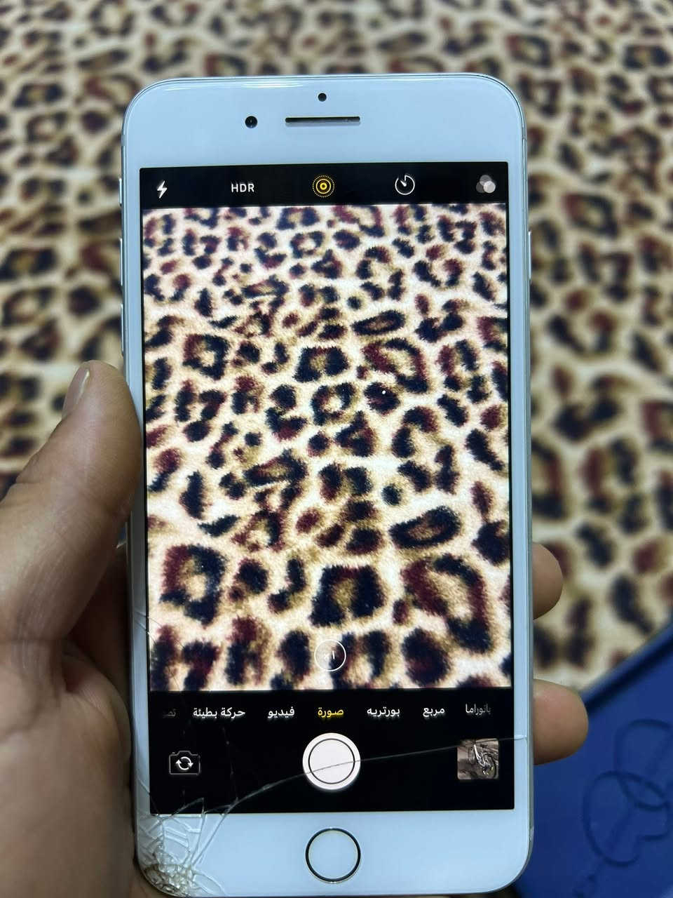 السلام عليكم ايفون 7 بلس ذاكره 256 بطاريه 90 مبدله جهاز نضيف كلش تكنيت سماعات بصمه لمس كله شغال مالي ايشي آيكلود شغال كله خط ماله شغال كله شغال جهاز كارتونه موجود جهاز أميركي سعره 130 بس مجال للشراي مكاني ناصريه مركز الاسكان صناعي رقم ***********
